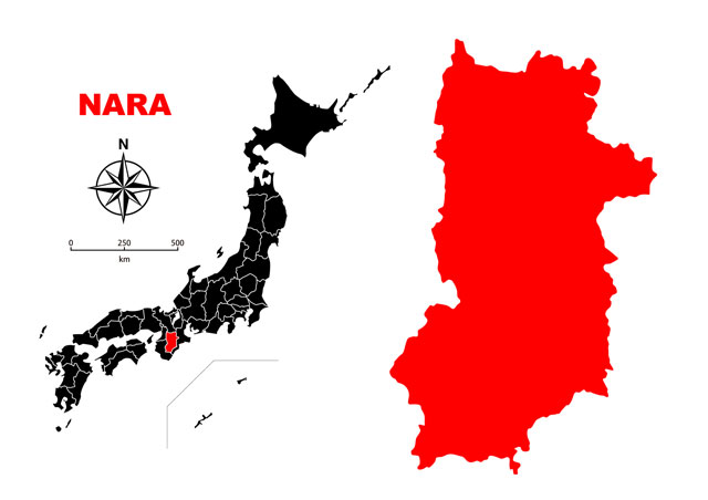 人間 三十過ぎれば奈良が一番 ホウワ 奈良で噂の引越しと解体外構 海上コンテナ販売企業
