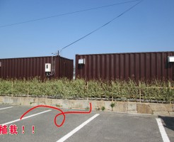コンテナと植栽工事のコラボ