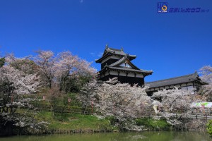 郡山城跡