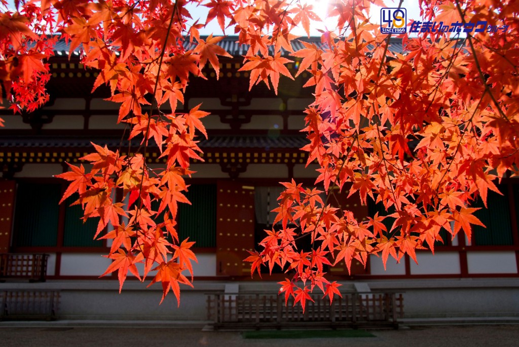 奈良の薬師寺