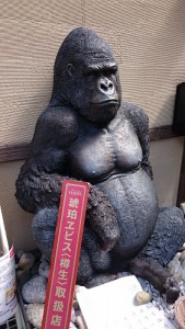 京都で発見したゴリラ！