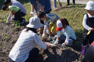 市川農場　農作業体験