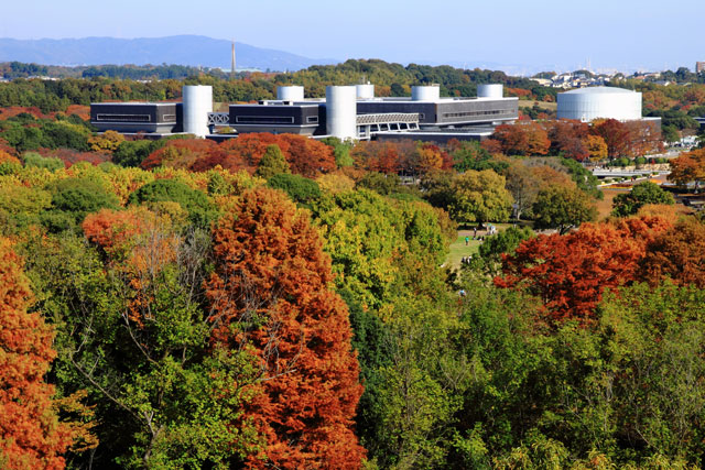 国立民族学博物館