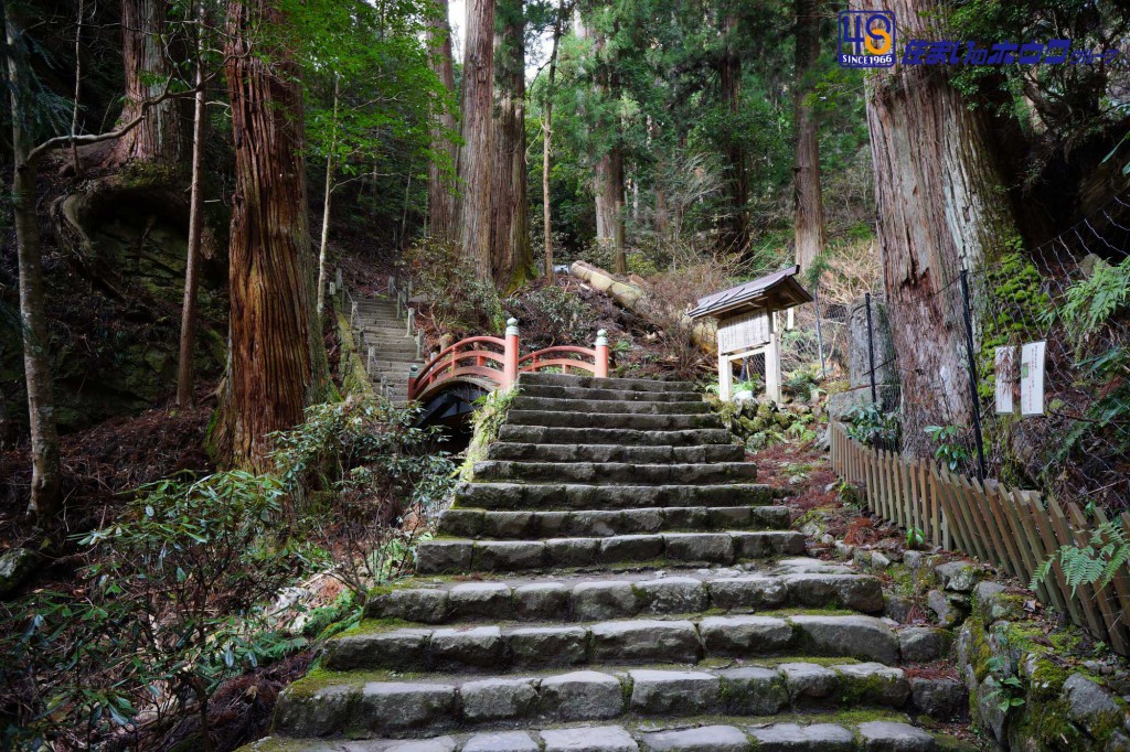 室生寺