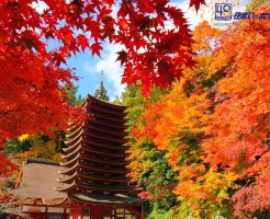 談山神社（たんざんじんじゃ）