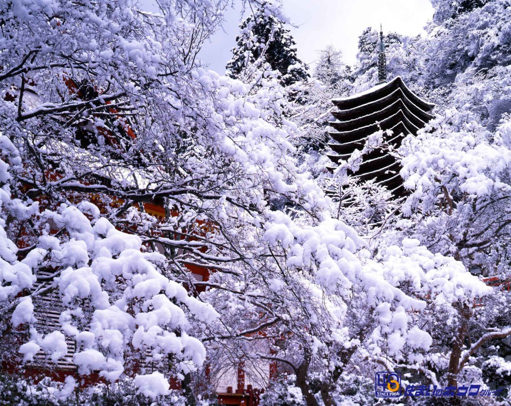 談山神社（たんざんじんじゃ）