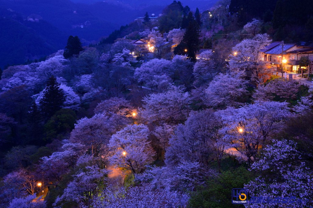 吉野山