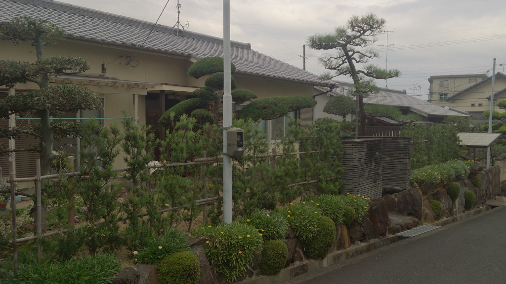 橿原市で植木の剪定