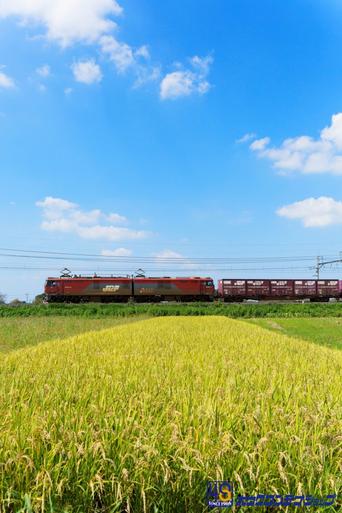 コンテナ愛の写真館 | 鉄道