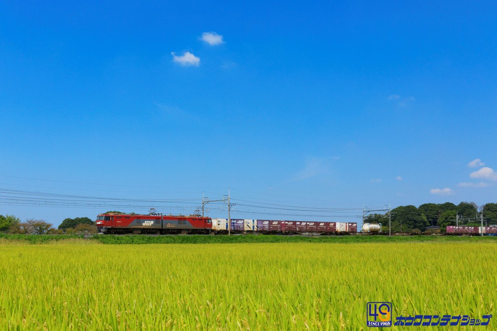 コンテナ愛の写真館 | 鉄道