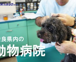 奈良県内の動物病院・獣医さん一覧