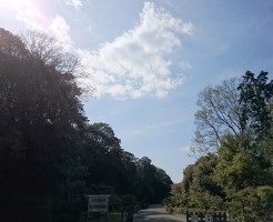 橿原神宮内の景色です。