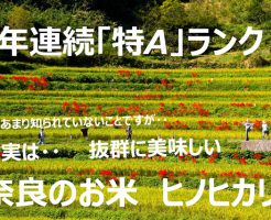 冷えても美味 | 奈良県産のお米