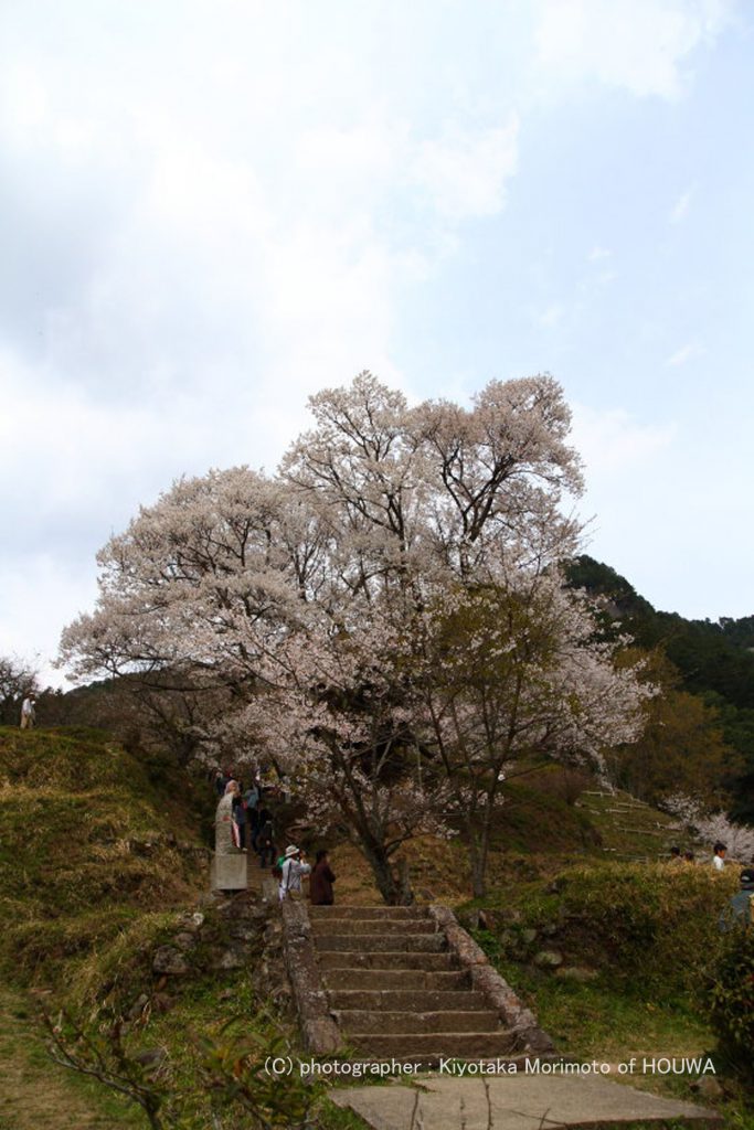 佛隆寺