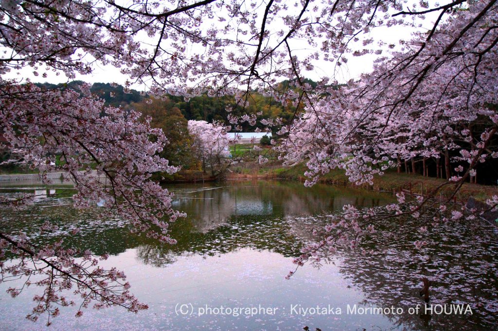 天理市内山永久寺跡