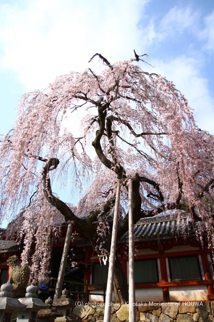 奈良市氷室神社