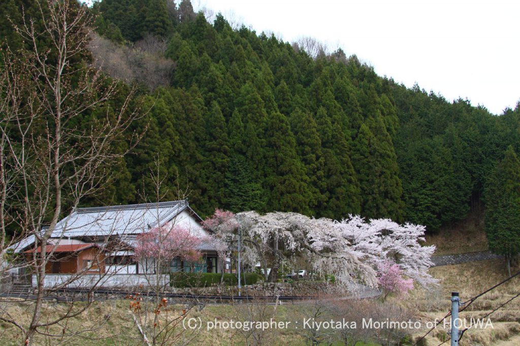 宇陀市悟真寺