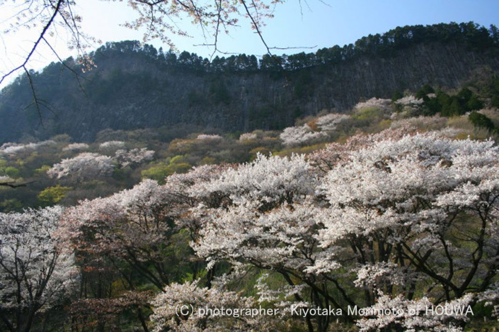 屏風岩