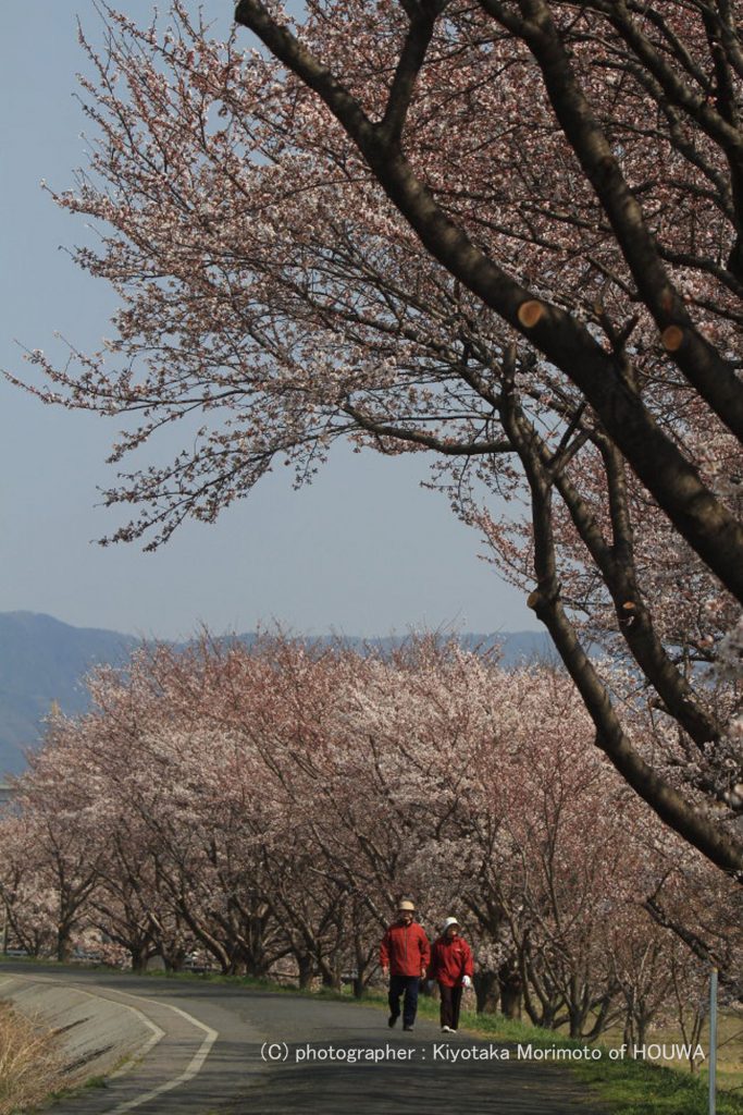 川西町面塚