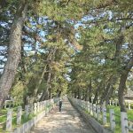 法隆寺前参道