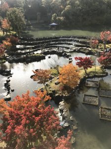 水面に映える紅葉