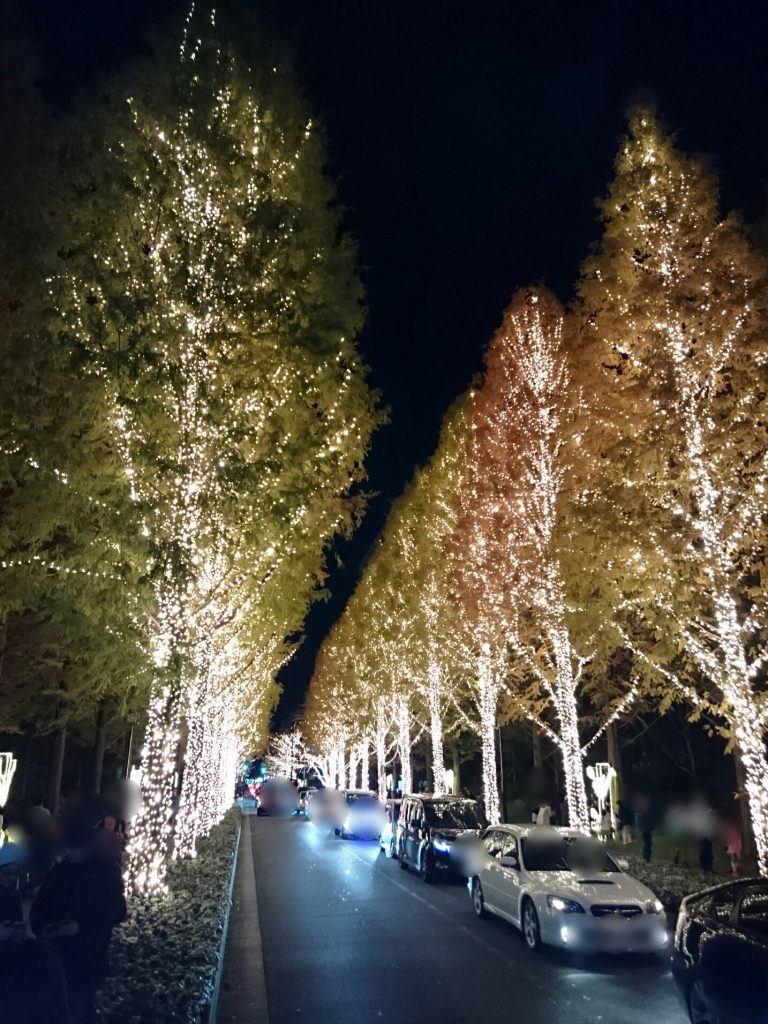 イルミネーションにも行ってみた┃京都市右京区