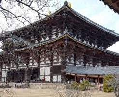 重要文化財 東大寺廻廊ほか3棟屋根葺替工事にともなう移転業務