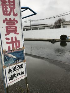 寒々しい冬の空と鑑賞池