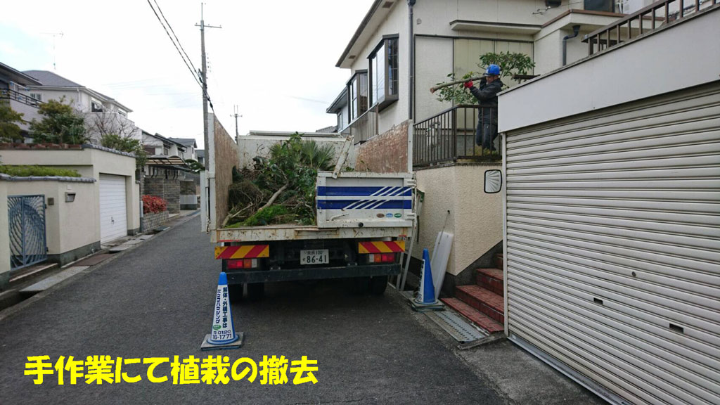 手作業で植栽の撤去と運び出し