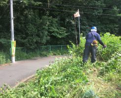 草刈り作業