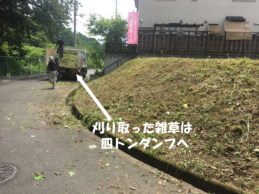 刈った草は四トンダンプで運搬