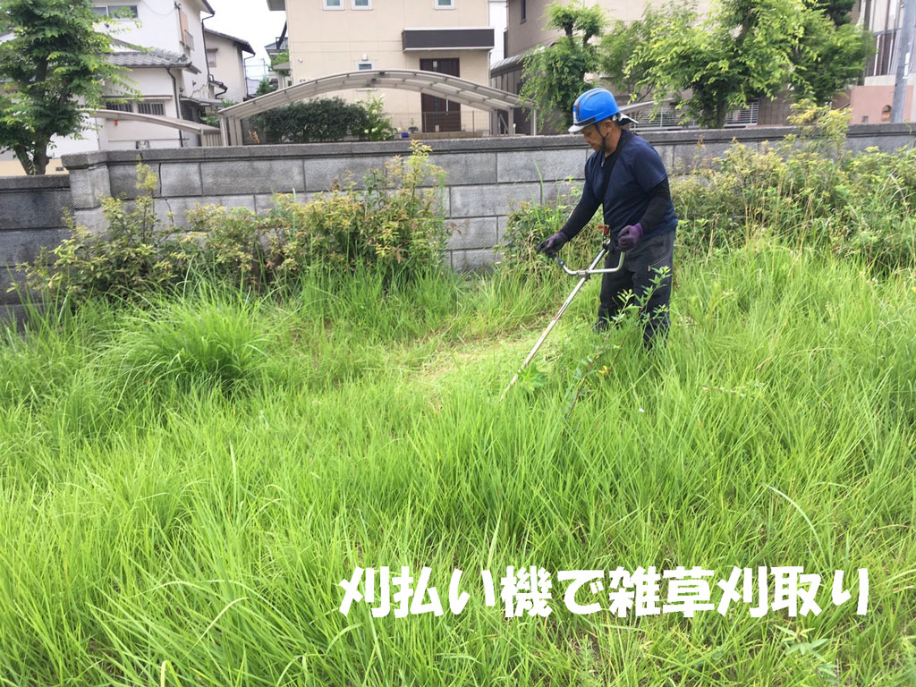 奈良市内の空き地を分譲地化 | 外構と植木、残土の撤去 ｜ ホウワ