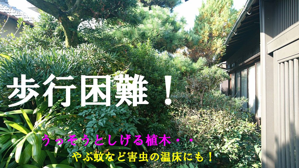 お庭の整理 | 大和郡山市で庭木の伐採と剪定、アルミフェンス取付け