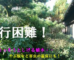 お庭の整理 | 大和郡山市で庭木の伐採と剪定、アルミフェンス取付け