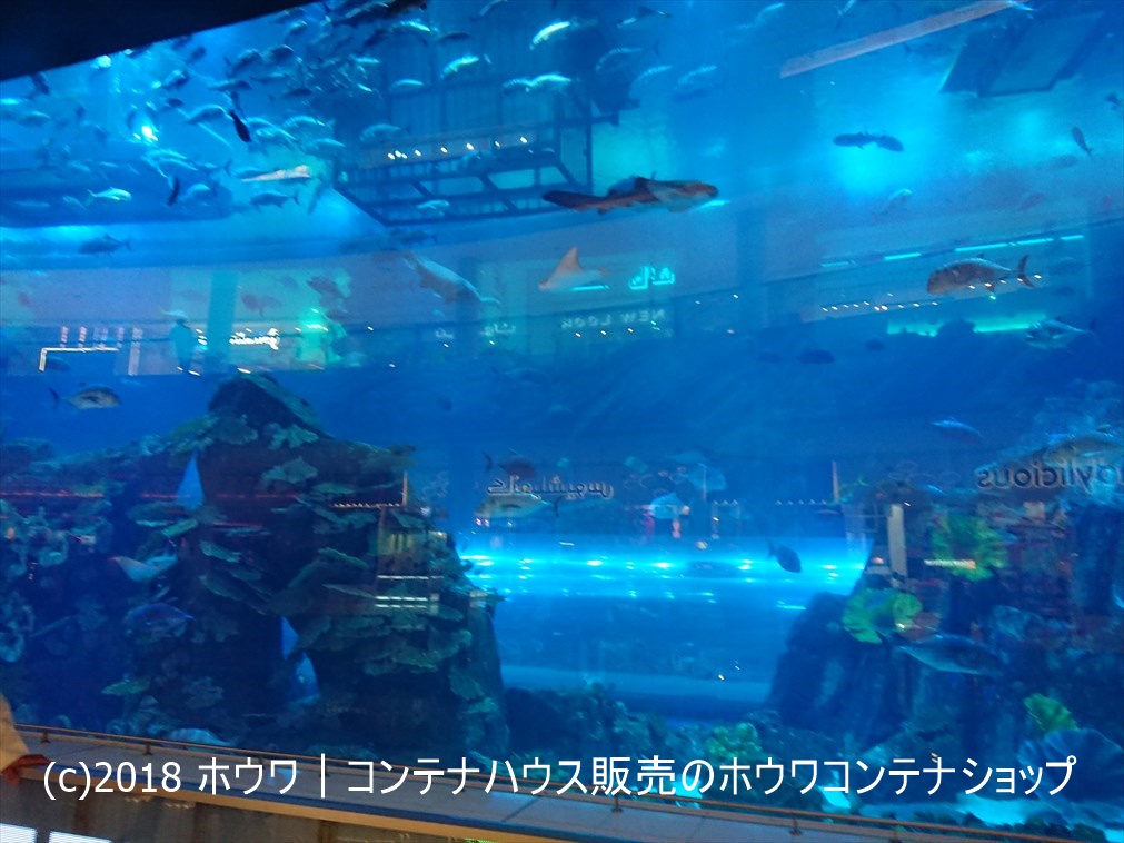 ドバイショッピングモール内の水族館