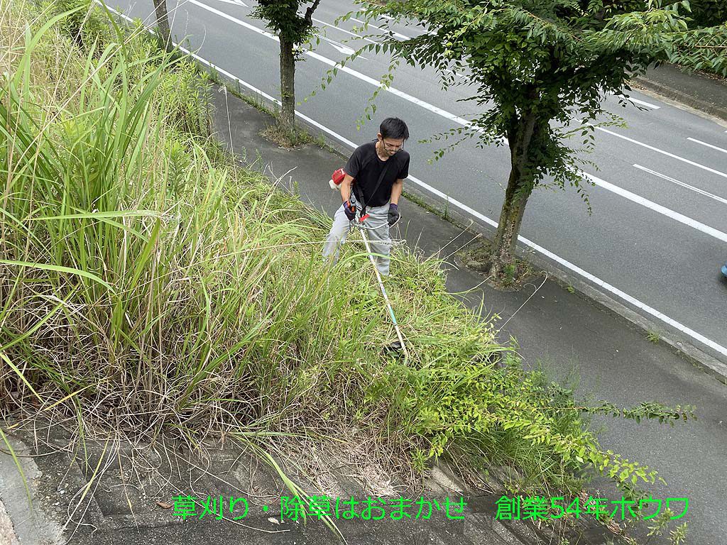 大和郡山市で除草のご依頼・草刈り