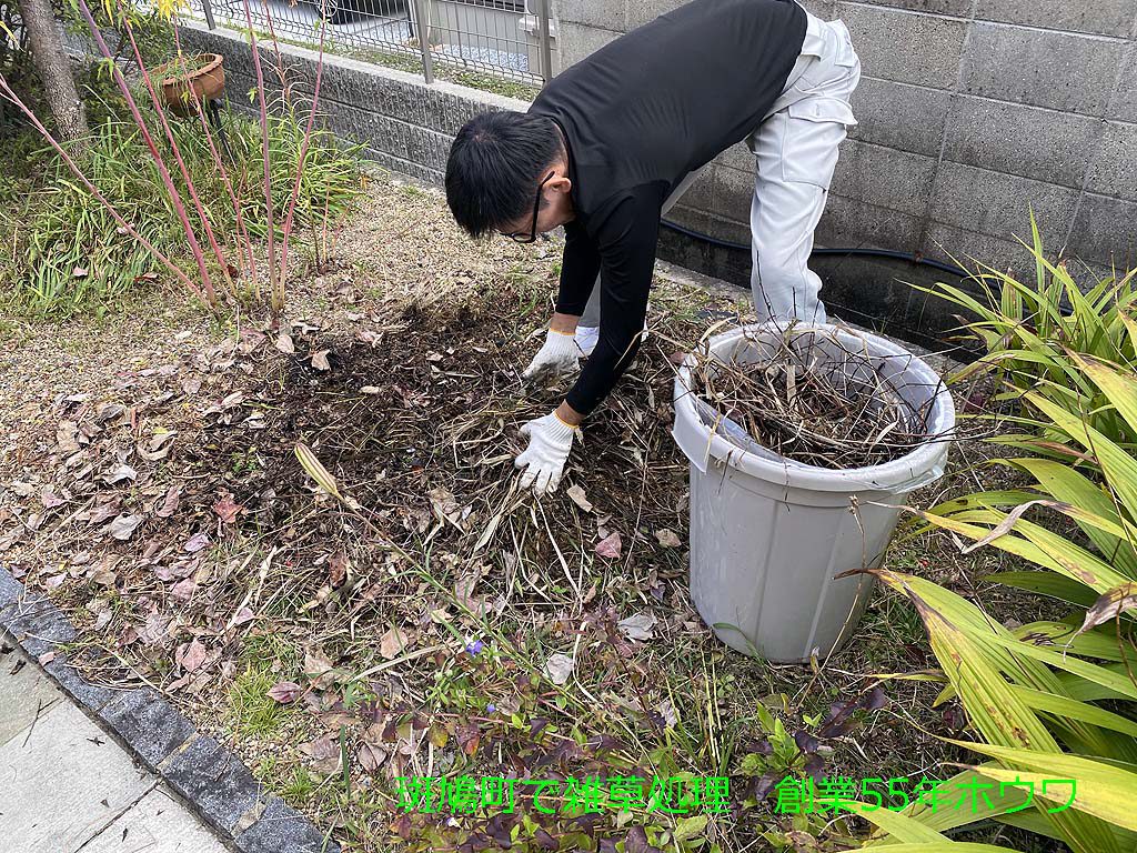 斑鳩町で便利屋のお仕事 | 枯れ草木の撤去