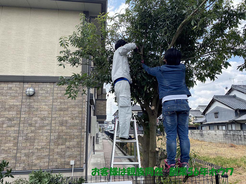 ハイツのオーナー様よりリピート依頼 樹木伐採 | 磯城郡川西町