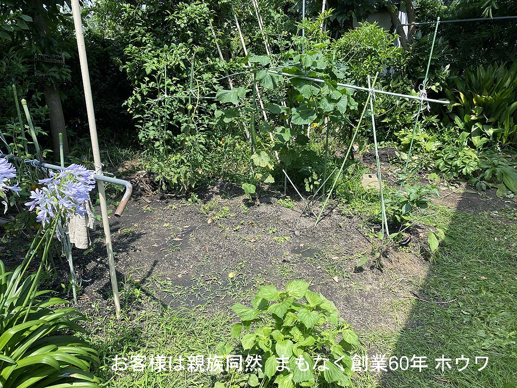 完了１