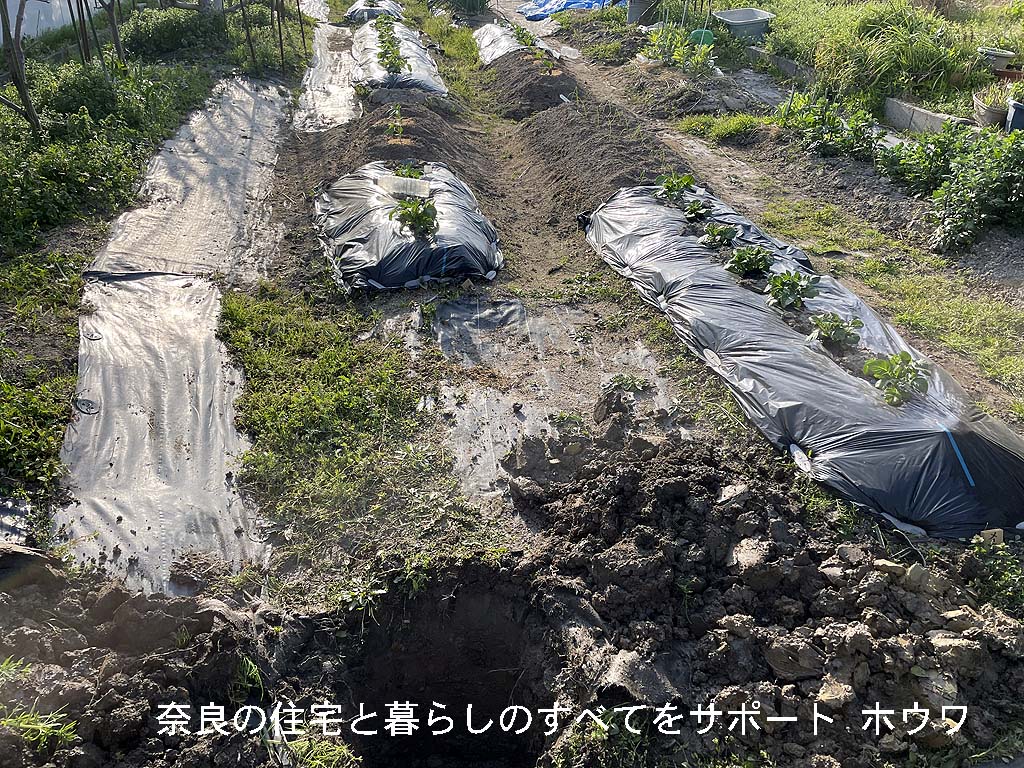 大和郡山市の狭小農園で井戸掘り | 狭い場所でも人力なら井戸が掘れます