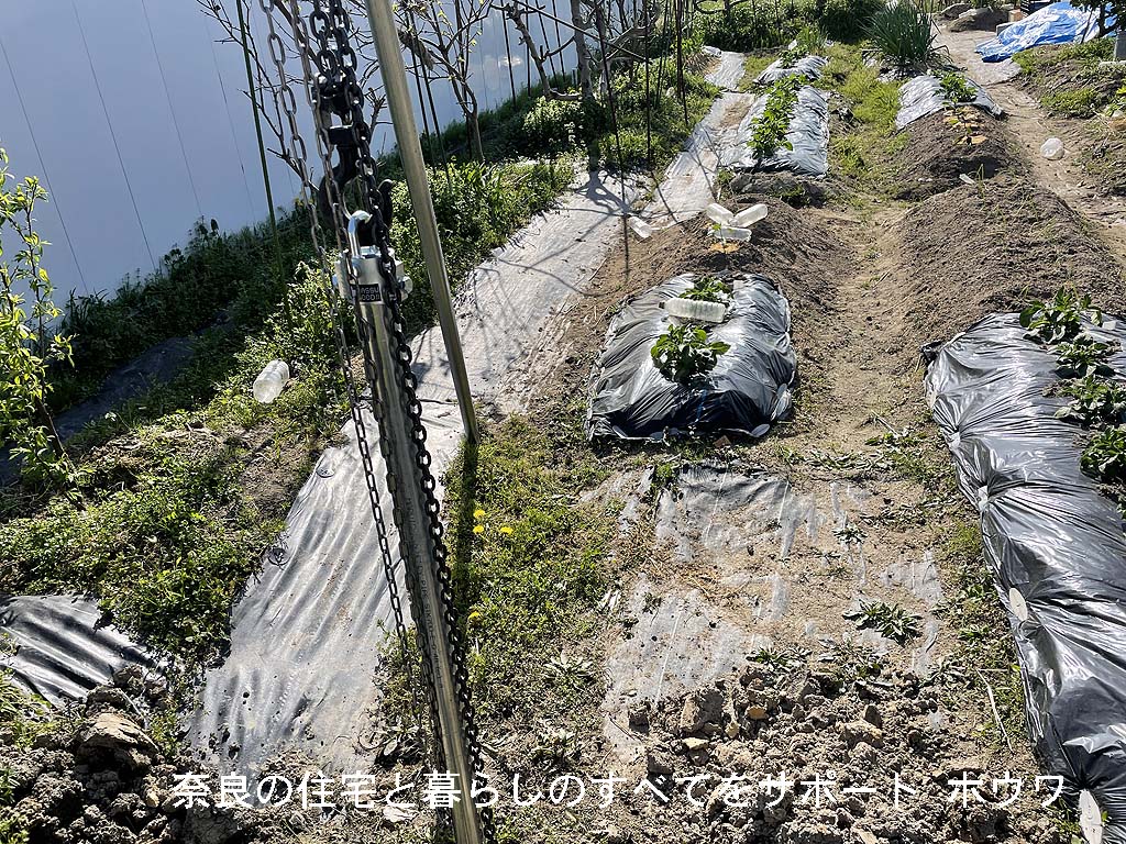 大和郡山市の狭小農園で井戸掘り | 狭い場所でも人力なら井戸が掘れます