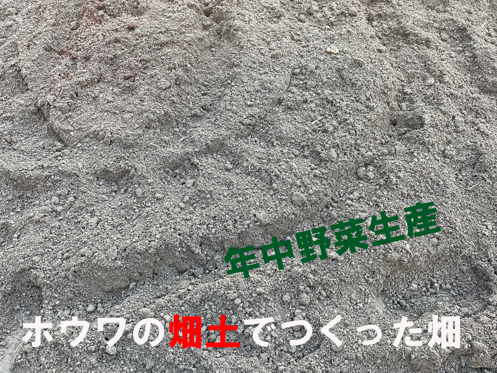 超話題新作 現場にGOトンボ工業 日工 グリーンミキサ NGM-3E 83L 3切 モーター付き 車輪付き