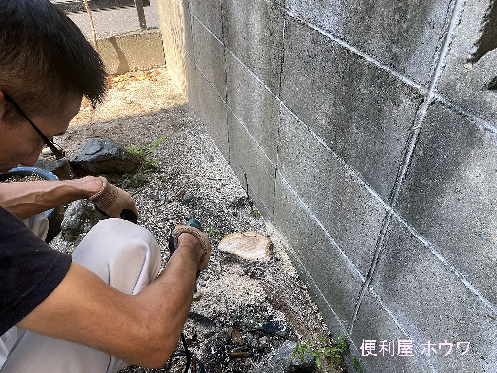 樹木の根枯らしー大和郡山市ー