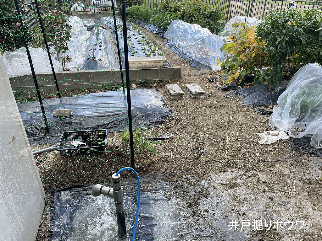 ご自宅の裏庭に家庭菜園兼用の防災井戸 | 奈良県御所市