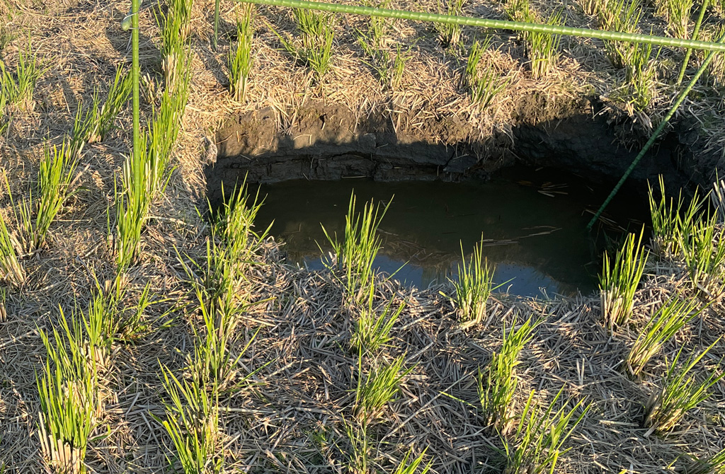 超危険な古井戸を安全に再生 | 奈良県大和郡山市