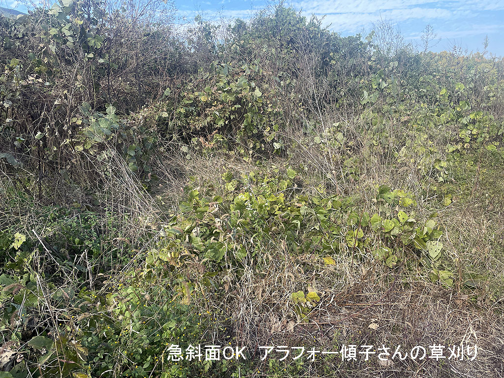 山間部の造成地で草刈り | 奈良県葛城市