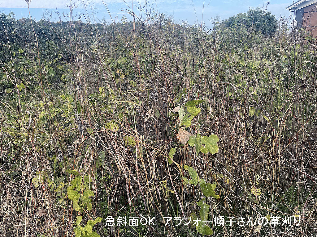 山間部の造成地で草刈り | 奈良県葛城市