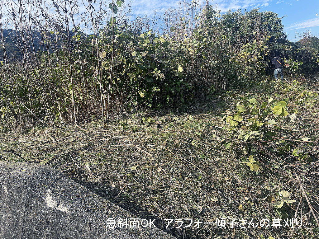 山間部の造成地で草刈り | 奈良県葛城市