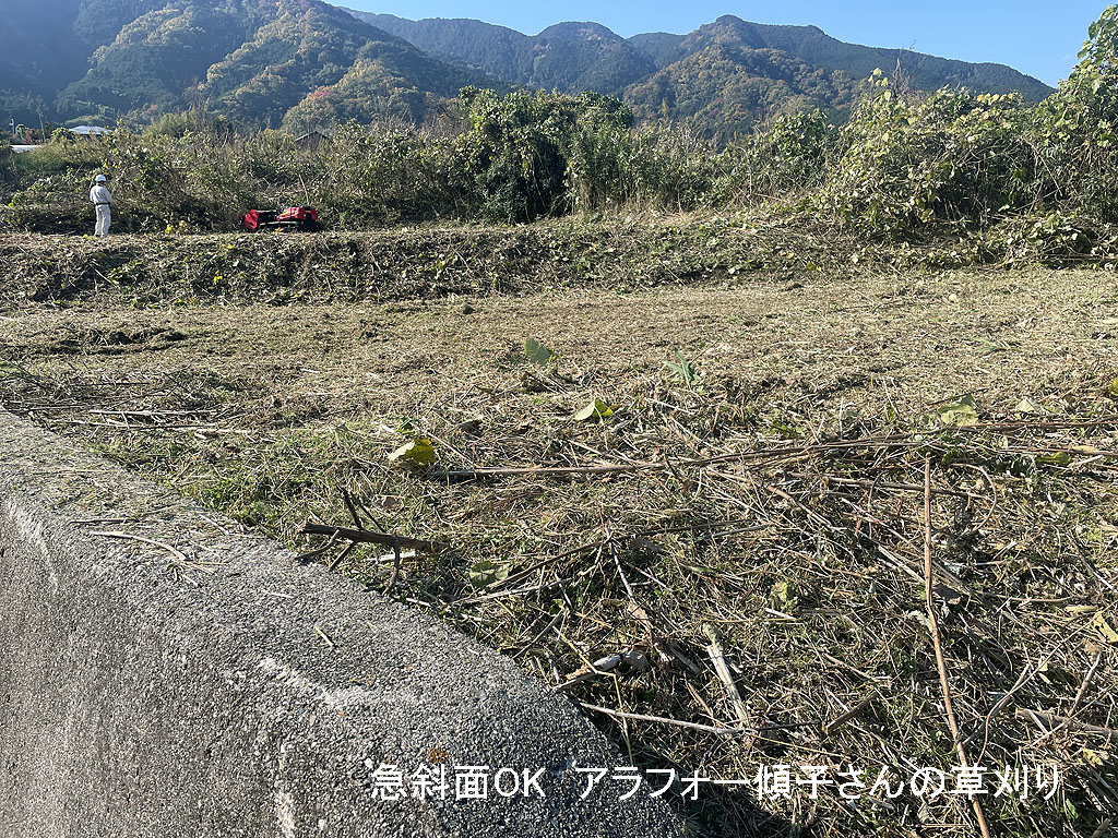 山間部の造成地で草刈り | 奈良県葛城市