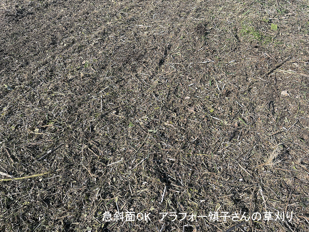 山間部の造成地で草刈り | 奈良県葛城市